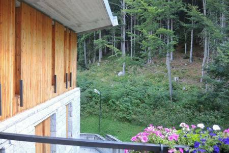 Wooden With Forest View